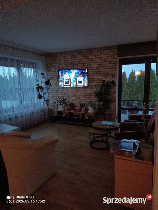 Sprzedam siatka Zwoleń sprzedam