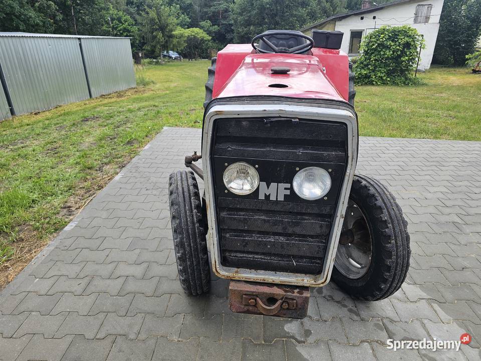 Massey Ferguson 247 Massey Ferguson Opole Lubelskie