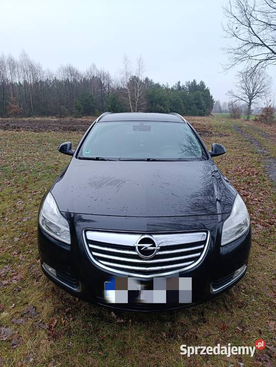 Sprzedam zadbanego Opla Insignia 320000km Nasielsk