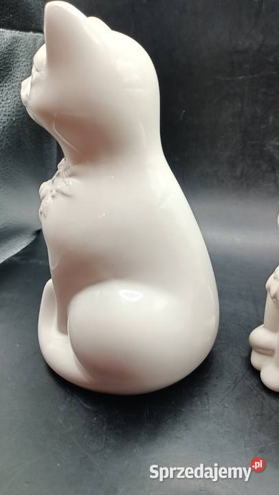 Para białych kotów Rosa Ljung Helsingborg Zamość