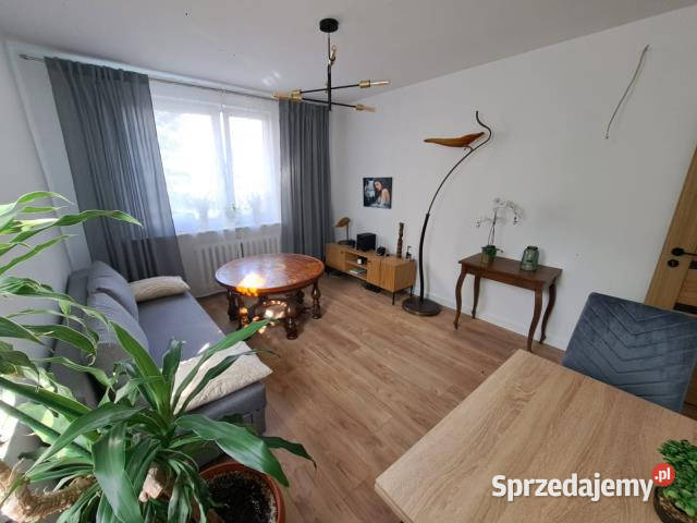 Mieszkanie Pruszków 48m2 3 pokoje Sprzedaż mazowieckie sprzedam
