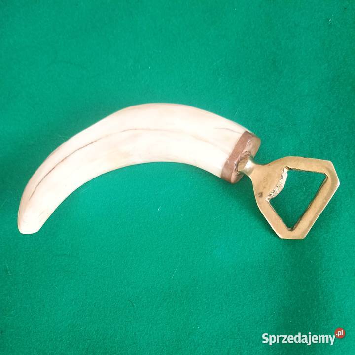 Otwieracz do butelek rzeźbiony kieł guźca Afryka Bronisze