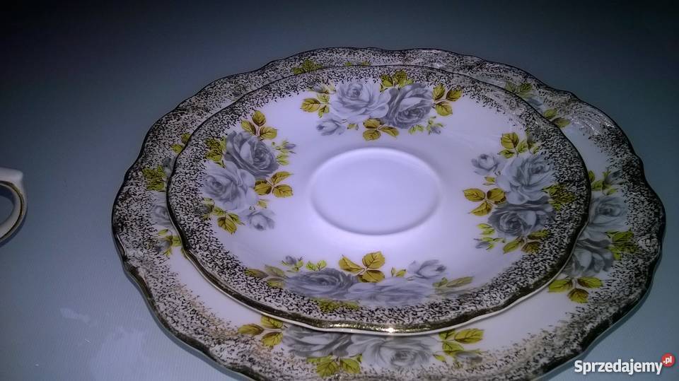 wspaniałe róże winterlinga śląskie Katowice