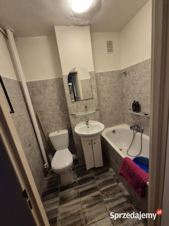 Saska Kępa Kawalerka do wynajęcia Warszawa