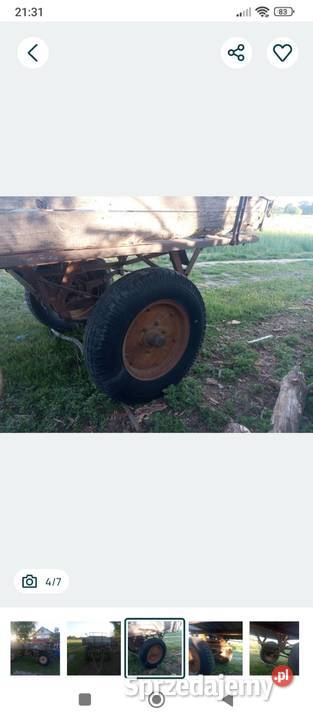 Przyczepa konna nieuszkodzony