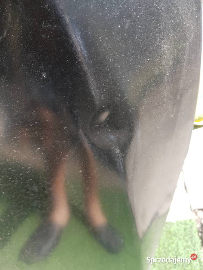 honda crv maska 201622 Jędrzejów