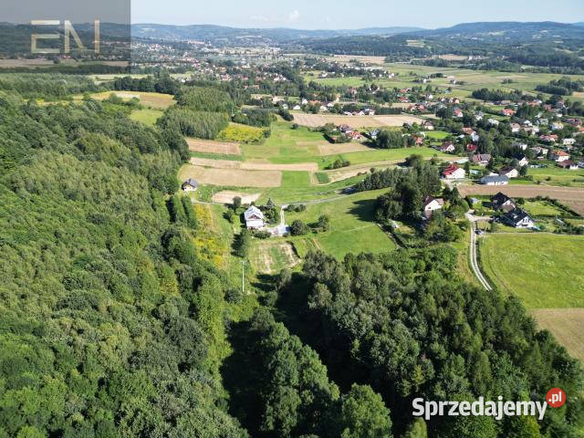 Działka Dobrzechów 13100m2 9zł/m2