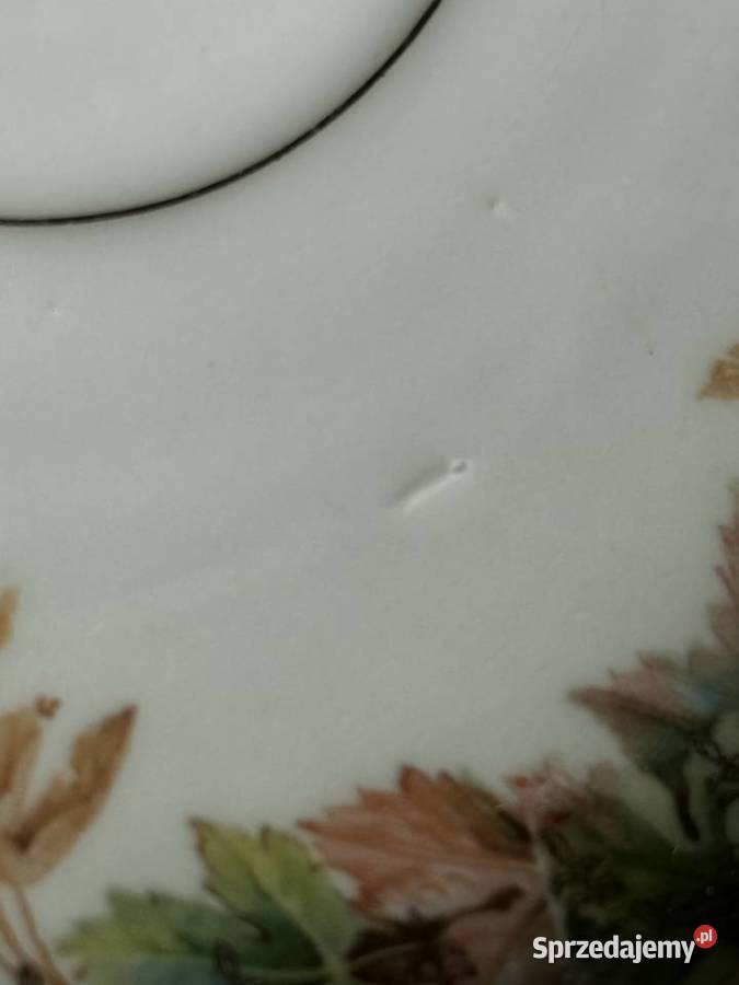 Filiżanka CT Altwasser podkarpackie Mielec