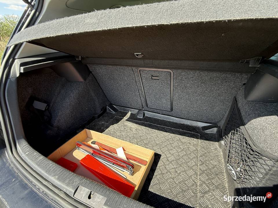 Volkswagen Golf VI 2011 16 TDI automat Rokietnica