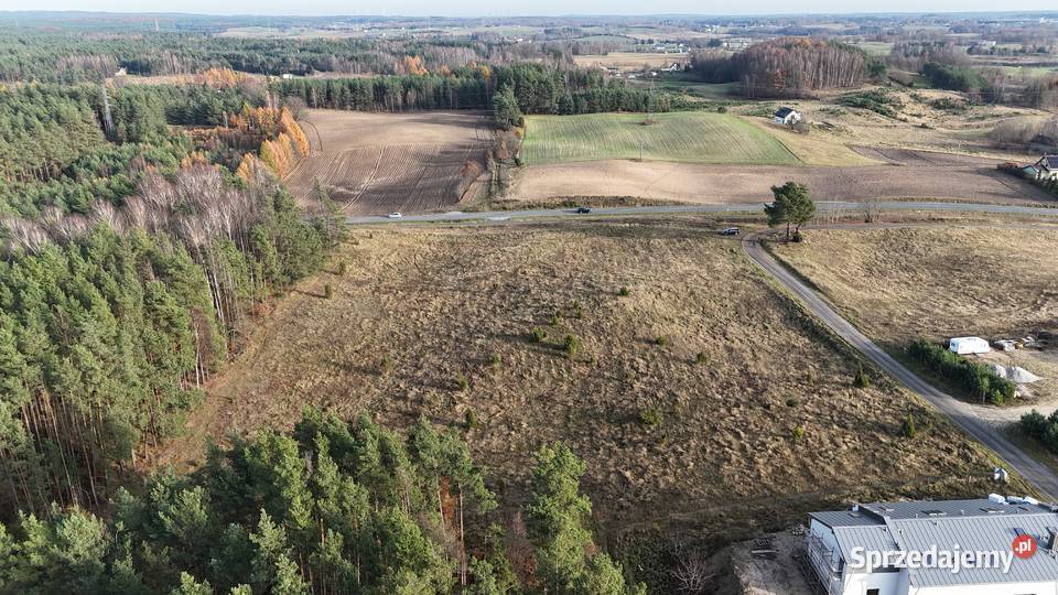 Sprzedam działkę budowlanousługową Sprzedaż Kościerzyna-Wybudowanie
