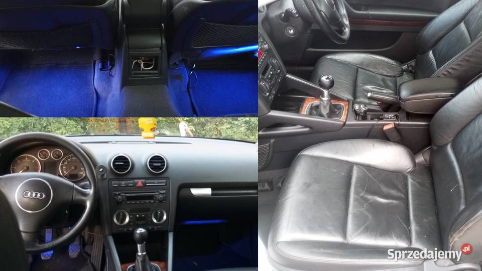 audi a3 8p 19tdi BKC 150 1900cm3 Regimin