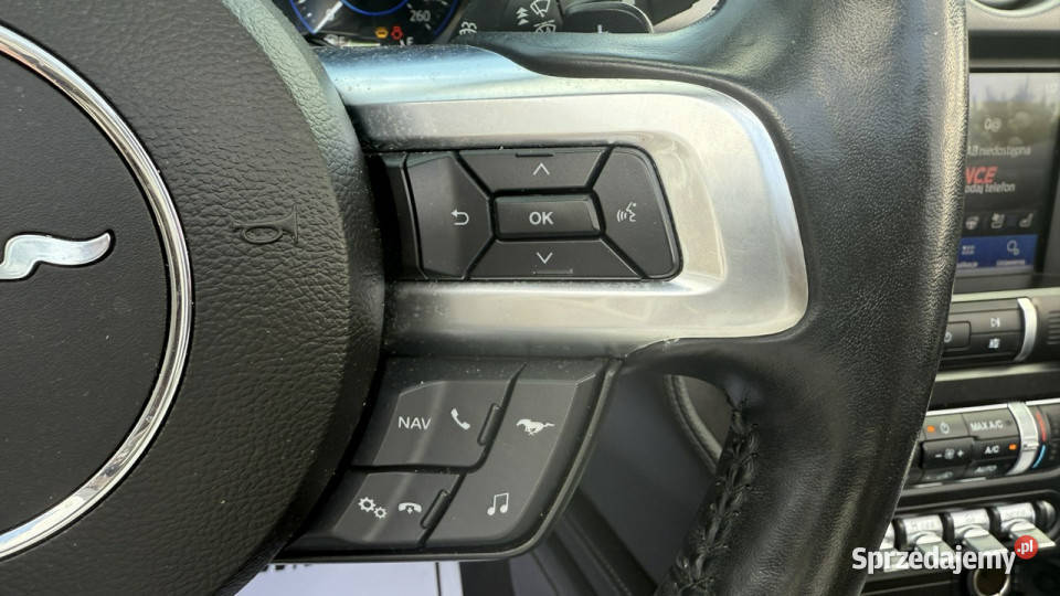 Ford Mustang Cabrio Wypas Automat VI 2014 Sade Budy