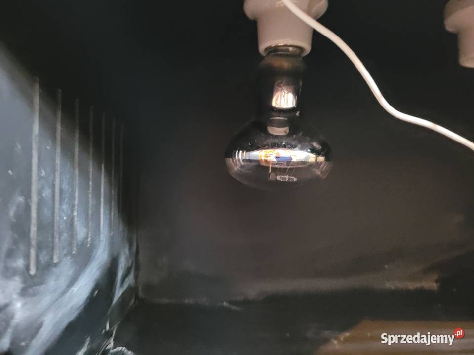Terarium żółwia jaszczurki węża łódzkie Łódź
