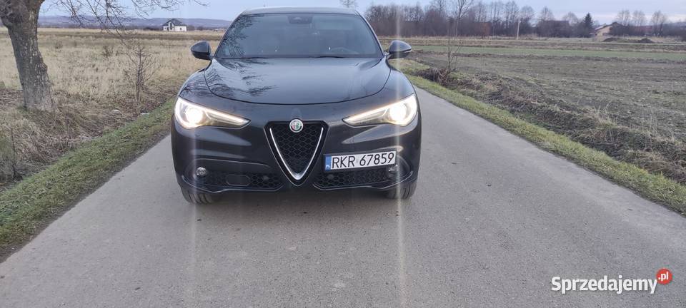 Alfa Romeo Stelvio 98000km Wróblik Szlachecki