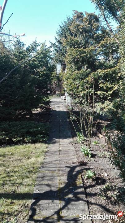 Sprzedam działkę ROD Leśna Polana Poznań