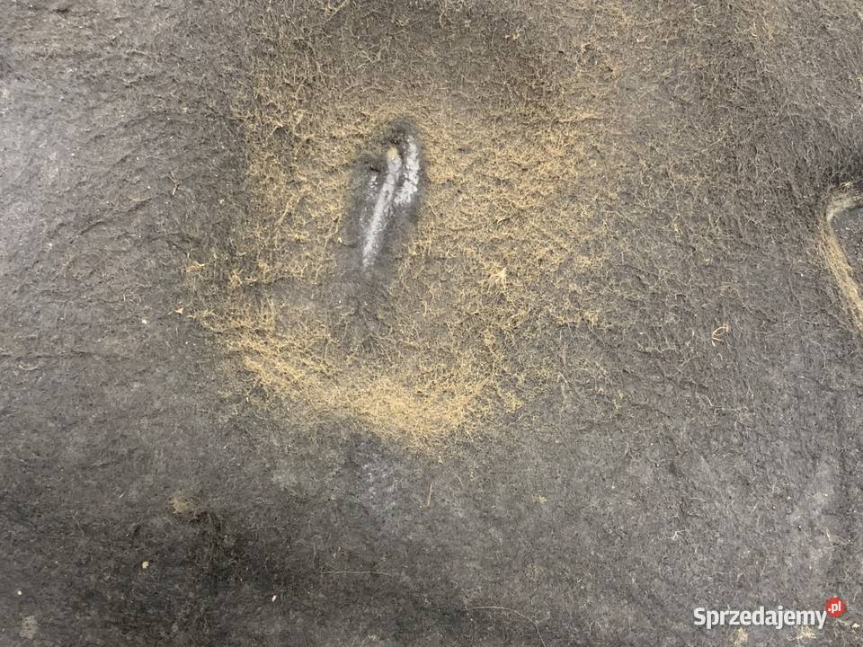 WYGŁUSZENIE MASKI AUDI A3 8P Hatchback 0313