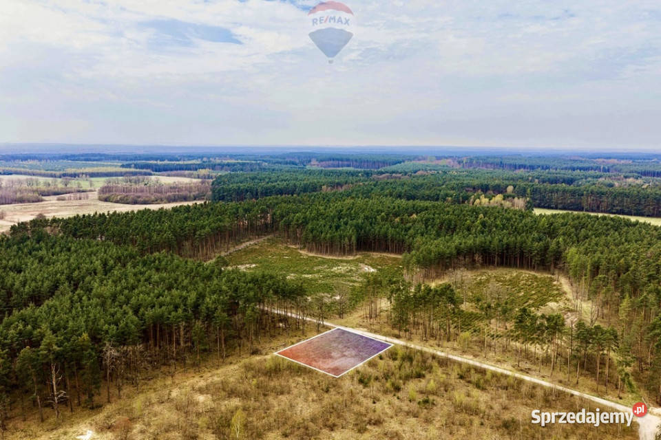 Działka budowlana w bezpośrednim sąsiedztwie budowlana Chocianowiec
