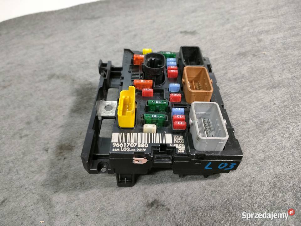 Peugeot Citroen BSM L03 osobowe Swarzędz