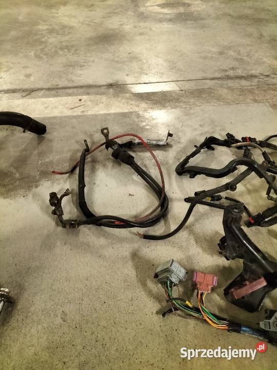 Przewody Wiązka elektryczne Renault laguna 2 II sprzedam