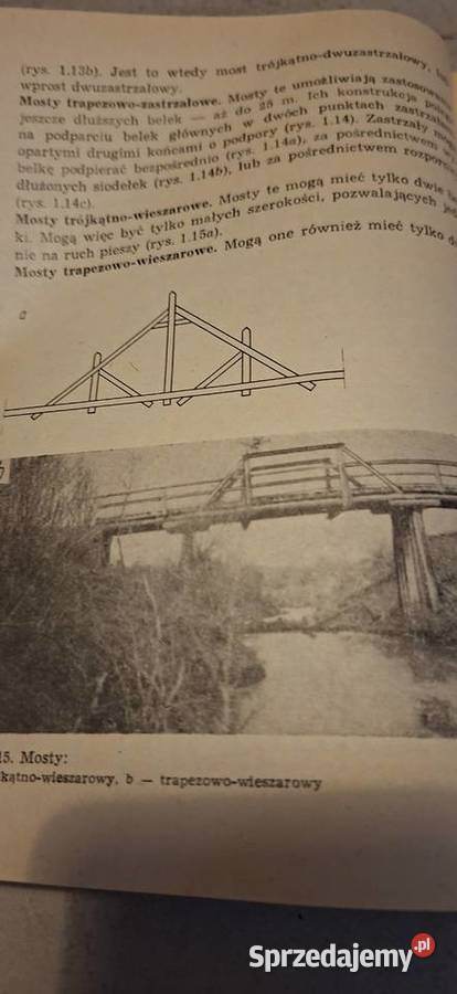 Cieśla Mostowy 1 wydanie niski nakład 2700300 Łęczyca