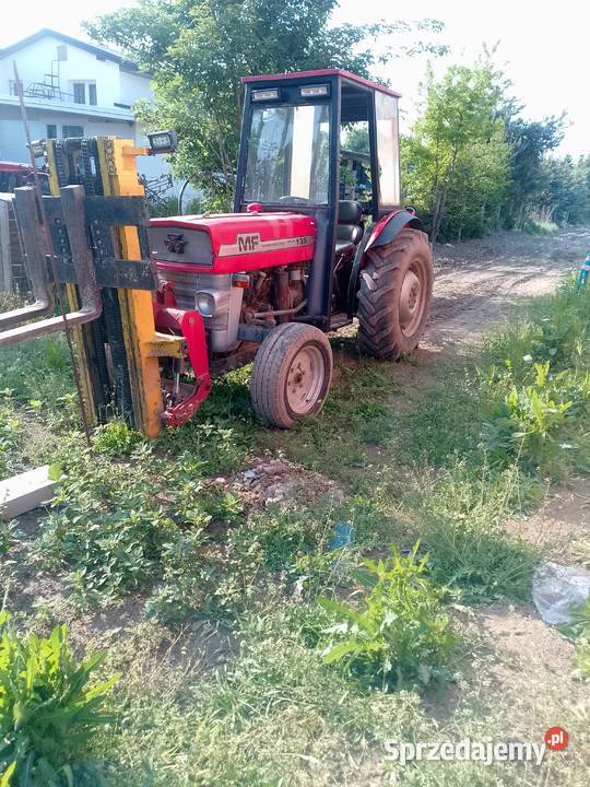 Sprzedam MF 135 MK3 Jasieniec