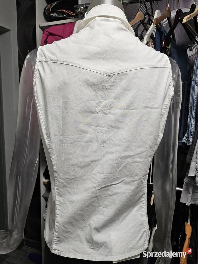 Bluzecza versacze Mucharz