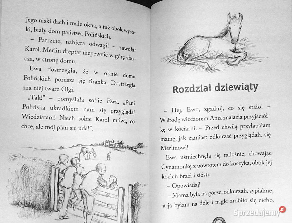 Merlin Bezdomny źrebak Tina Nolan Chełm sprzedam