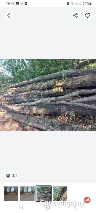 Drewno opałowe kominkowe liściaste ogień Rybaki sprzedam