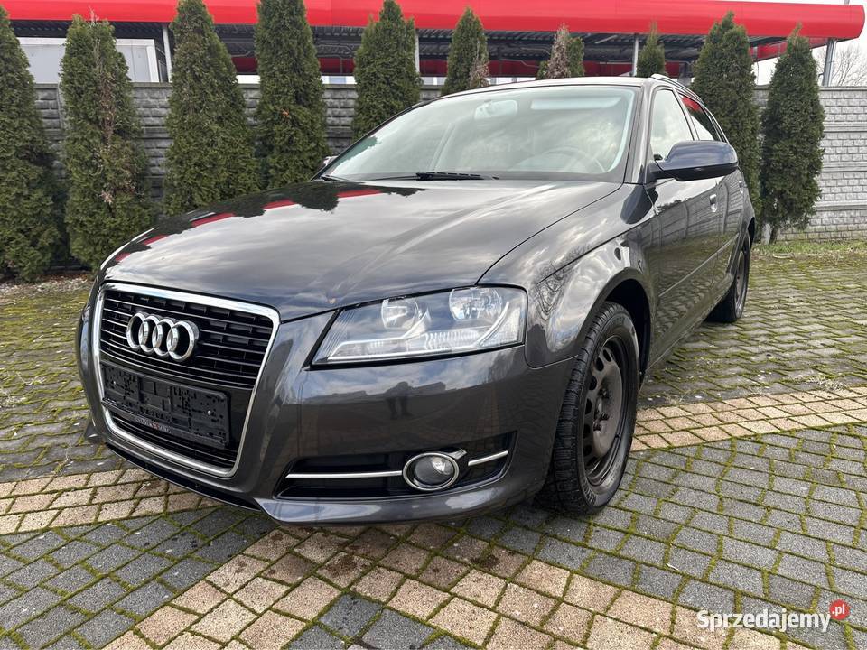 Audi A3 Sportback 16 benzyna 2010 102KM Sulechów