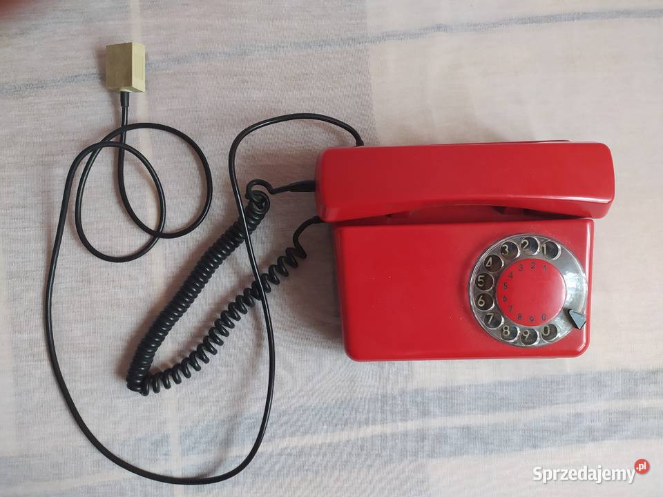 Telefon Tulipan mazowieckie