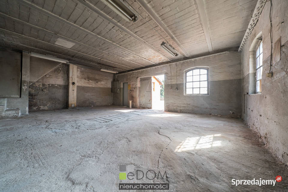 sprzedaży lokalu 6644m2 Jenin sprzedam