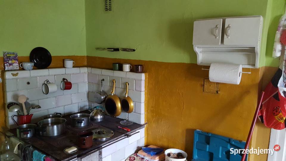 Gospodarstwo rolne z lasem Wielka Wieś
