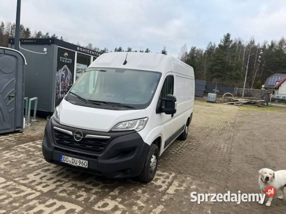 Opel Movano 2023r L1H2 Zbychowo