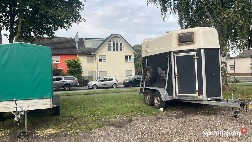 Przyczepa SLUIS Holenderska Super sprawna Do przewozu koni Starachowice