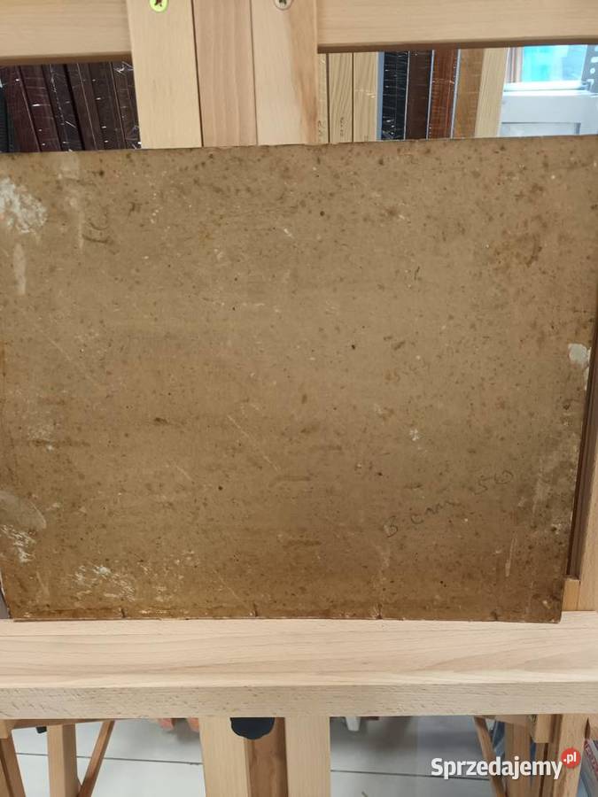 Pejzaż z wiejskiej drogi Bielsko-Biała sprzedam
