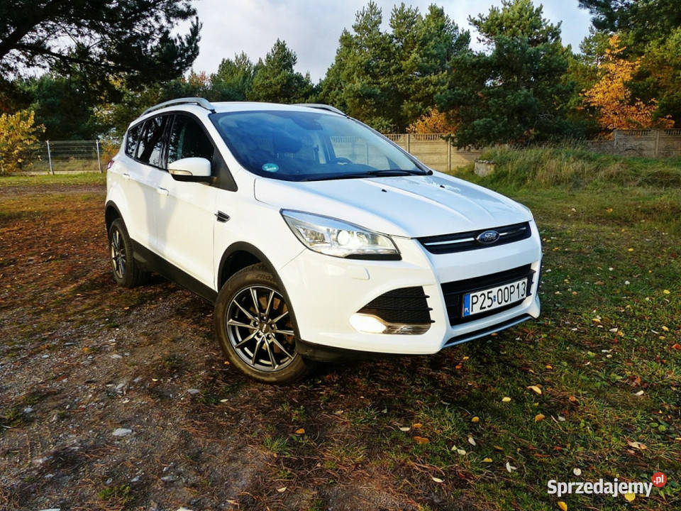 Ford Kuga 20 Kuga Piła