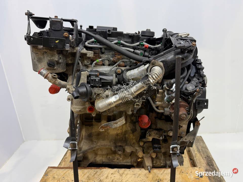 SILNIK T3JA Ford Fiesta VII MK7 16 TDCI 95 Chełm sprzedam