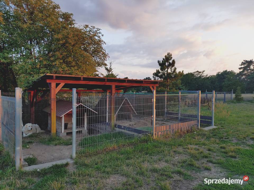 Gospodarstwo Rolne w urokliwym miejscu 13ha Jarnatów