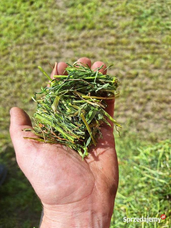 Maszyny rolnicze kemper pottinger rabewerk Fendt Olesno
