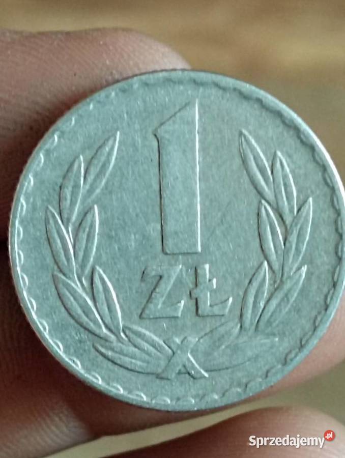 Sprzedam monete 1 zloty 1973 r zzm Chełm sprzedam