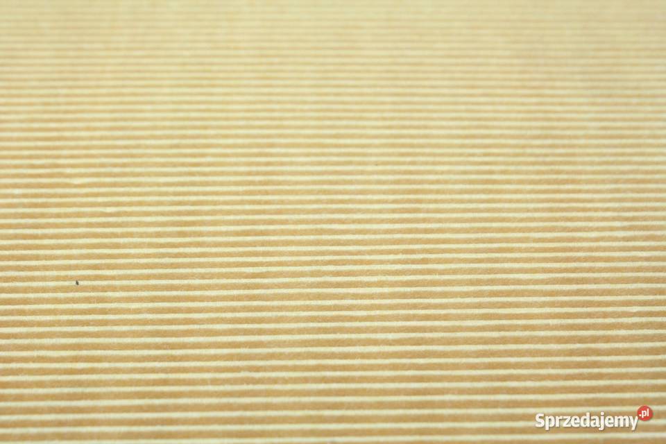 Filtr Powietrza BMW 273x315 Tajęcina