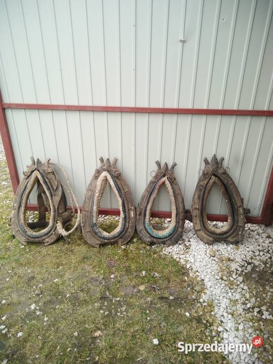Homonta lejce naszelniki używane Akcesoria dla zwierząt Potok Rządowy sprzedam