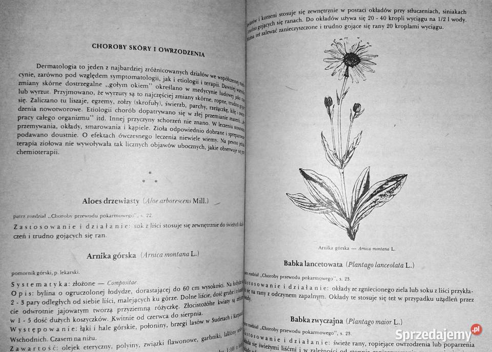 Przewodnik ziołolecznictwa ludowego E Kuźniewski Chełm