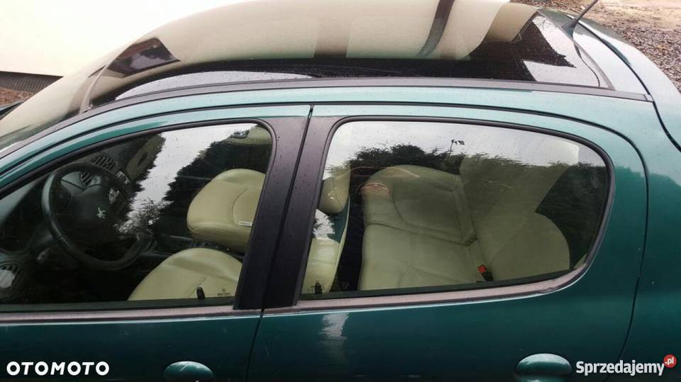 Peugeot 206 Roland Garros 206