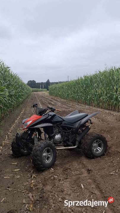 quad hsunhisun hs400 yamaha bashan atv mazowieckie