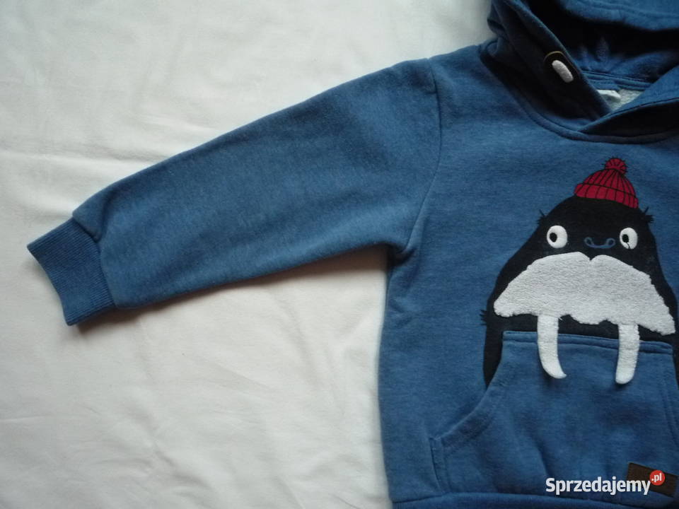 Cool Club 98104 Bluza niebieska zimowa z Szczecin