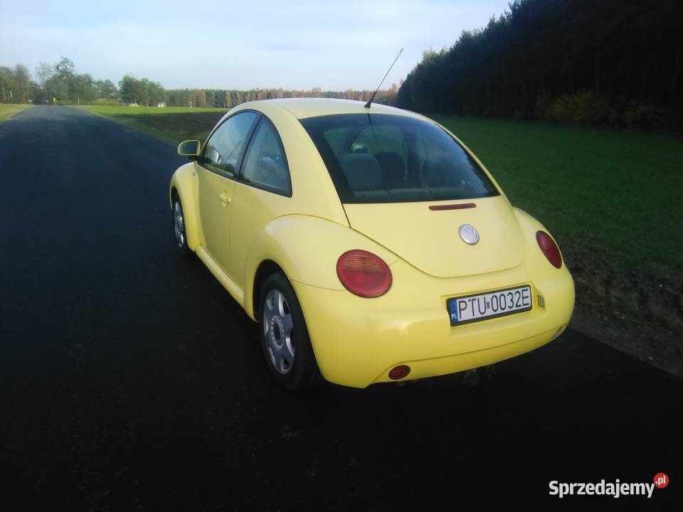 VW Beetle 19 New Beetle