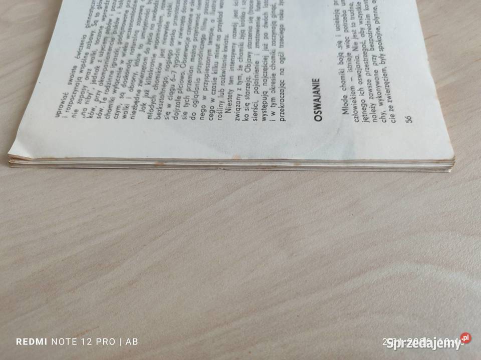 Chomik syryjski M Huszcz wyd z 1986 r Katowice