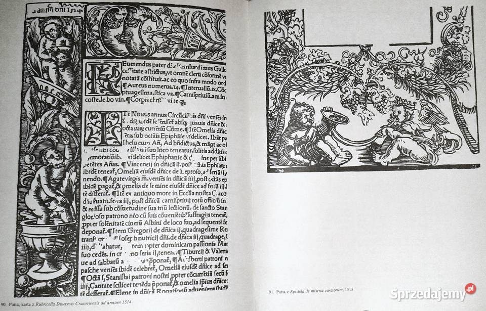 Toć jest dziwne a nowe Antologia literatury lubelskie Chełm sprzedam