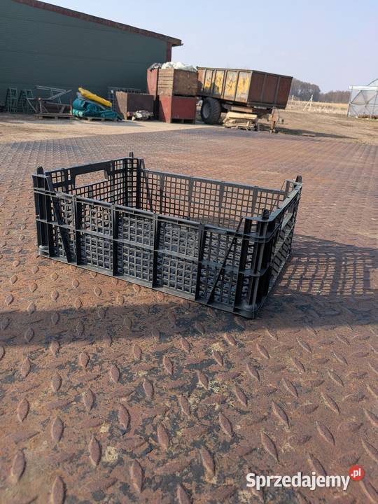Skrzynki plastikowe Casi lubuskie Goszczanowiec